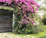 BT57 BÁN BIỆT THỰ SÂN VƯỜN MẶT TIỀN ĐƯỜNG ĐÔNG TÂM NỐI DÀI - PHƯỜNG 4 - TP ĐÀ LẠT. BT57 BÁN BIỆT THỰ SÂN VƯỜN MẶT TIỀN ĐƯỜNG ĐÔNG TÂM NỐI DÀI - PHƯỜNG 4 - TP ĐÀ LẠT.