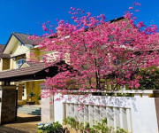 116. BÁN BIỆT THỰ SÂN VƯỜN ĐẸP ĐƯỜNG TRẦN KHÁNH DƯ - PHƯỜNG 8- THÀNH PHỐ ĐÀ LẠT 116. BÁN BIỆT THỰ SÂN VƯỜN ĐẸP ĐƯỜNG TRẦN KHÁNH DƯ - PHƯỜNG 8- THÀNH PHỐ ĐÀ LẠT